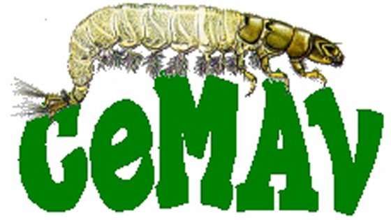 logo  CeMAV