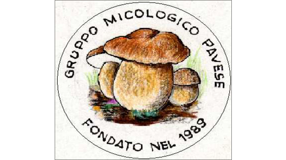 logo Gruppo Micologico Pavese