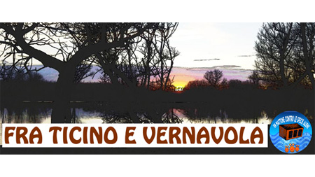 Fra Ticino e Vernavola: una passeggiata con l'ecologo